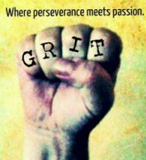 Perseverance and Passion in Sales